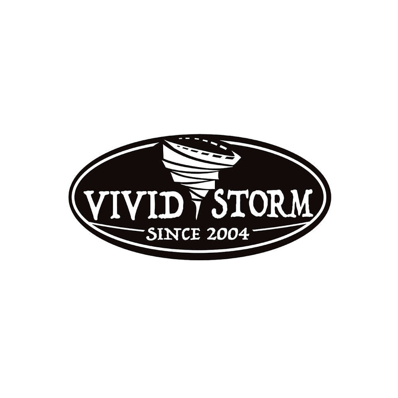VIVIDSTORM