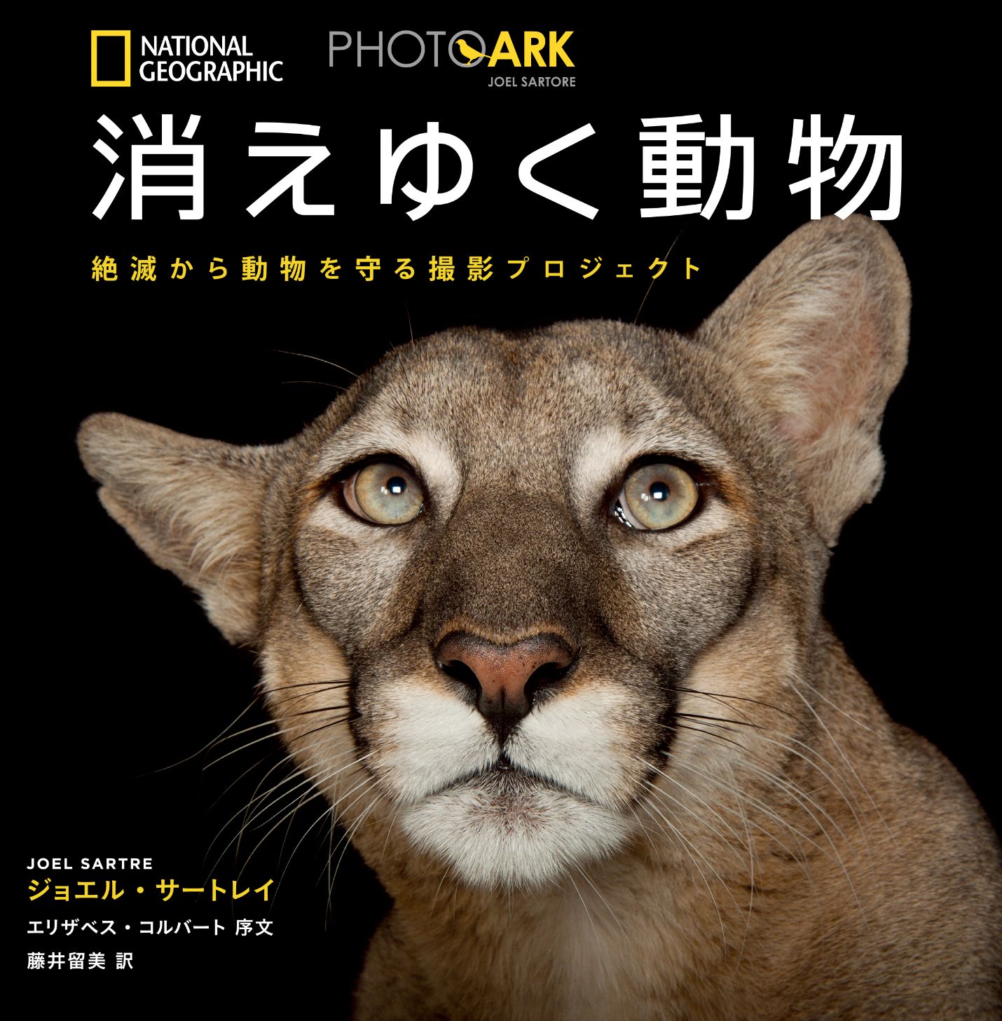 写真集 Photo Ark 消えゆく動物 絶滅から動物を守る撮影プロジェクト Glimpse グリンプス