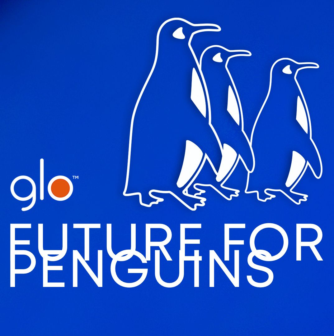 インスタ上の1アクションで海洋汚染からペンギンたちを救う【FUTURE FOR PENGUINS】
