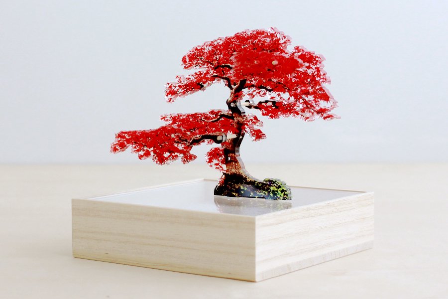 bonsai ミニ 卓上サイズ版の盆栽と枯山水