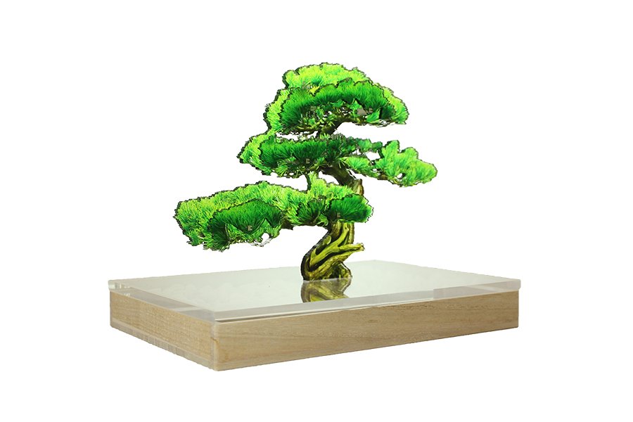 bonsai S ハイブリッドな盆栽