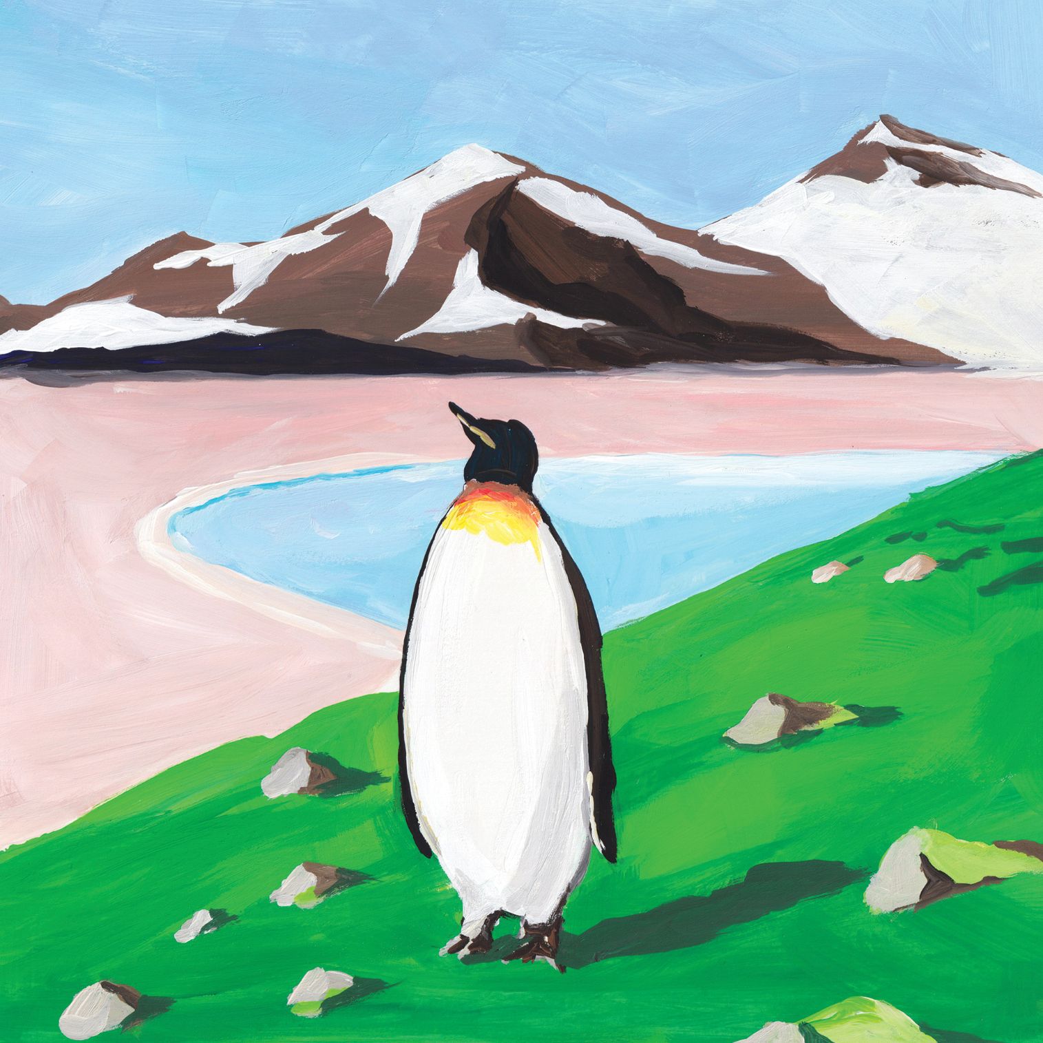 インスタ上の1アクションで海洋汚染からペンギンたちを救う【FUTURE FOR PENGUINS】